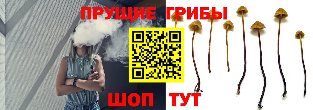 Обь  Галлюциногенные грибы мицелий  Вход с VPN 