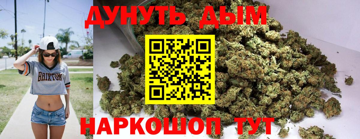 Конопля Ganja  Конопля Bruce Banner  Обь  Вход с VPN  Каннабис планчик  Марихуана ГИДРОПОН 